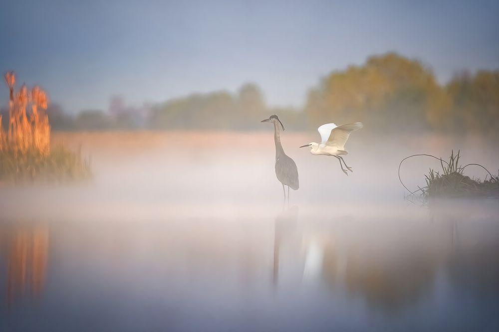 Photograph by Lyubomir Momchilov