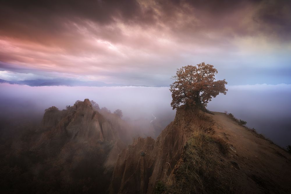 Photograph by Lyubomir Momchilov