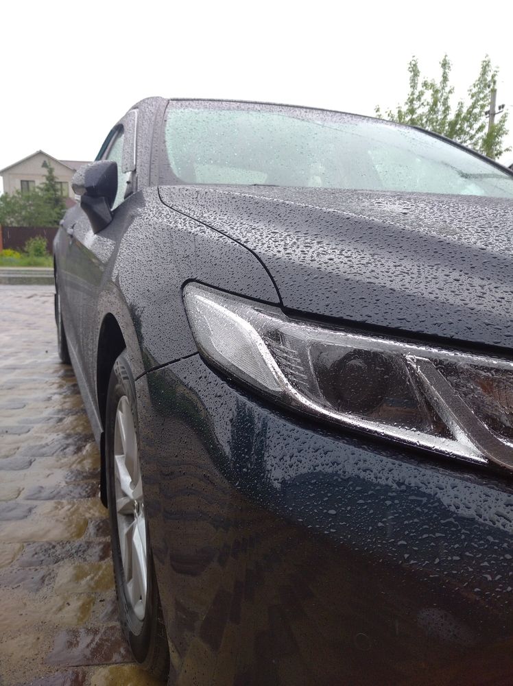 Photograph by Елена Коробченко