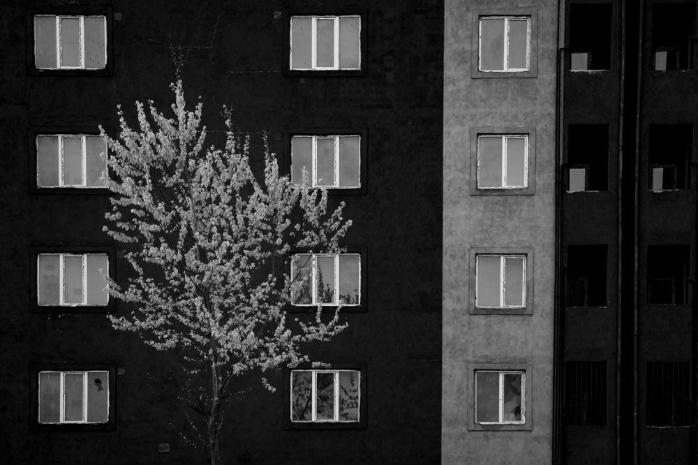 Фотография автора Arvin