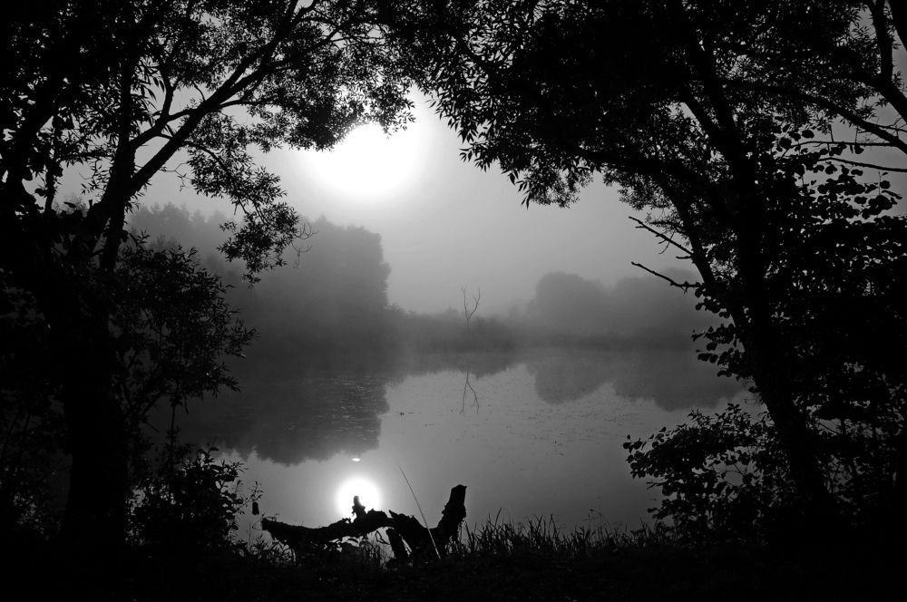 Фотография автора Антип