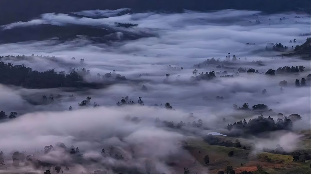 Фотография автора Maghsoud Moradi