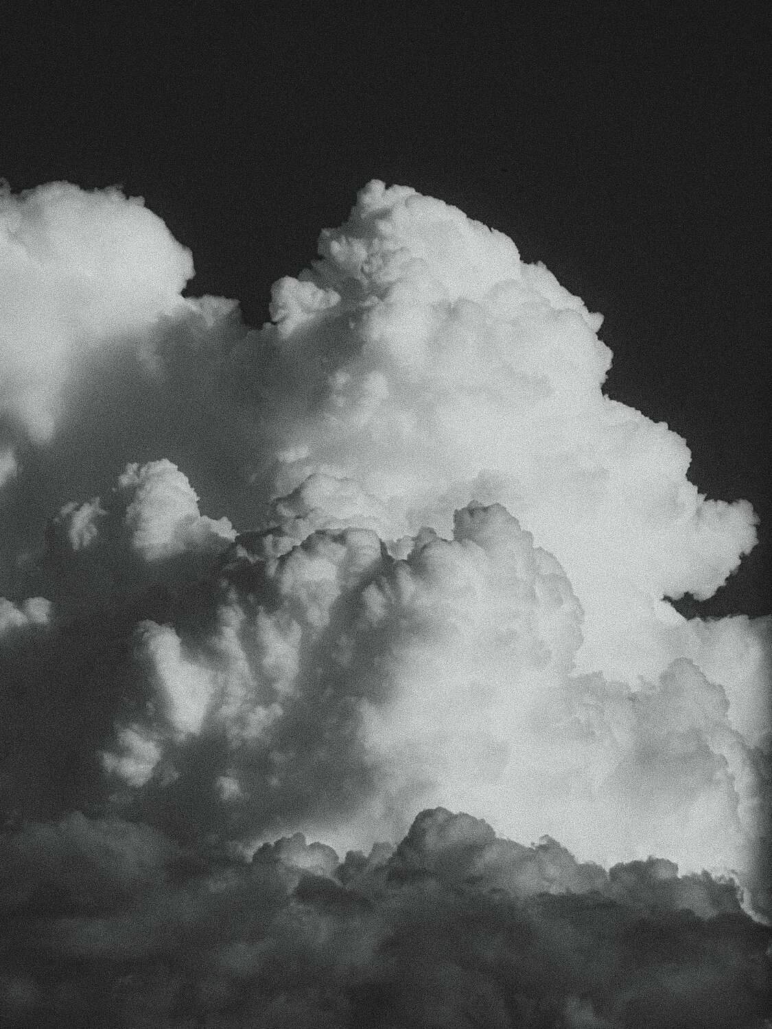 Photo #9149236