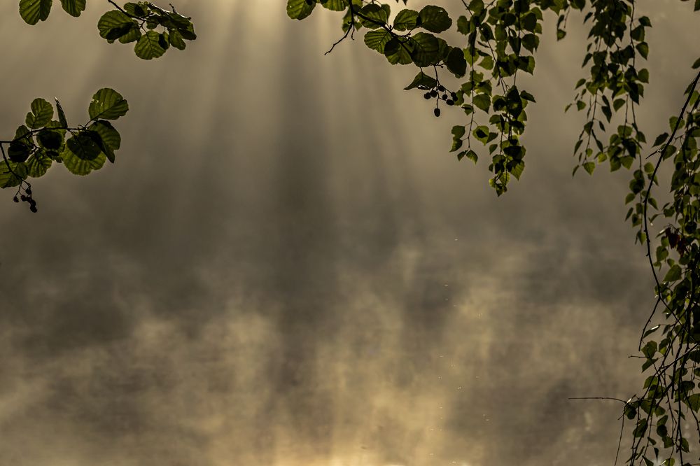 Photograph by Юлия Куликова