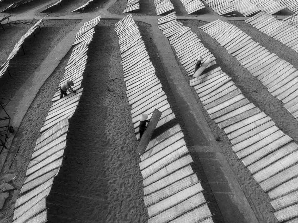 Photograph by Phong Hoang