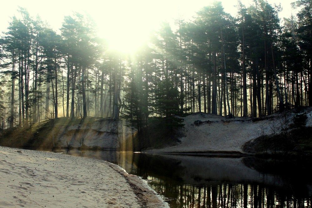 Photograph by 