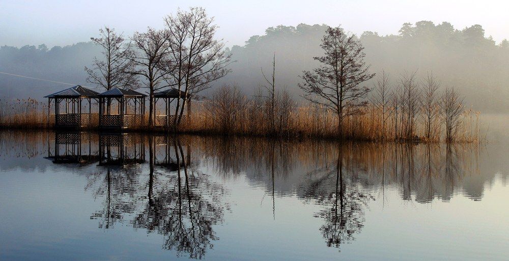 Photograph by 