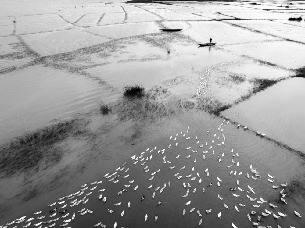 Photograph by Phong Hoang