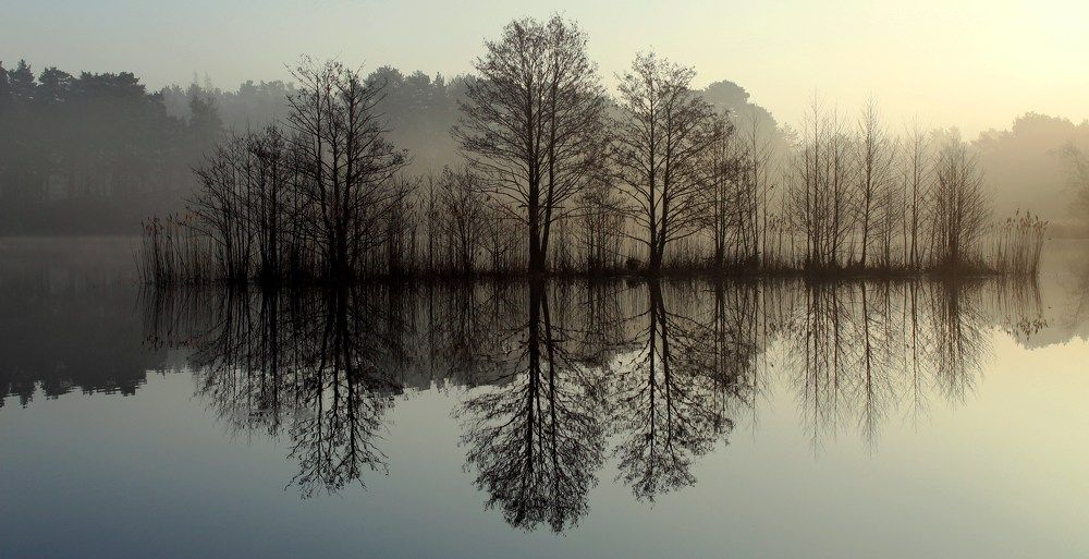 Photograph by 