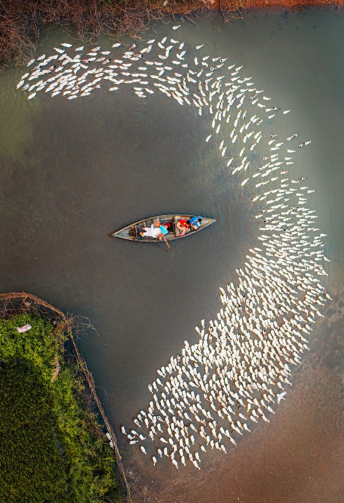 Photograph by Hanh P. T. Pham