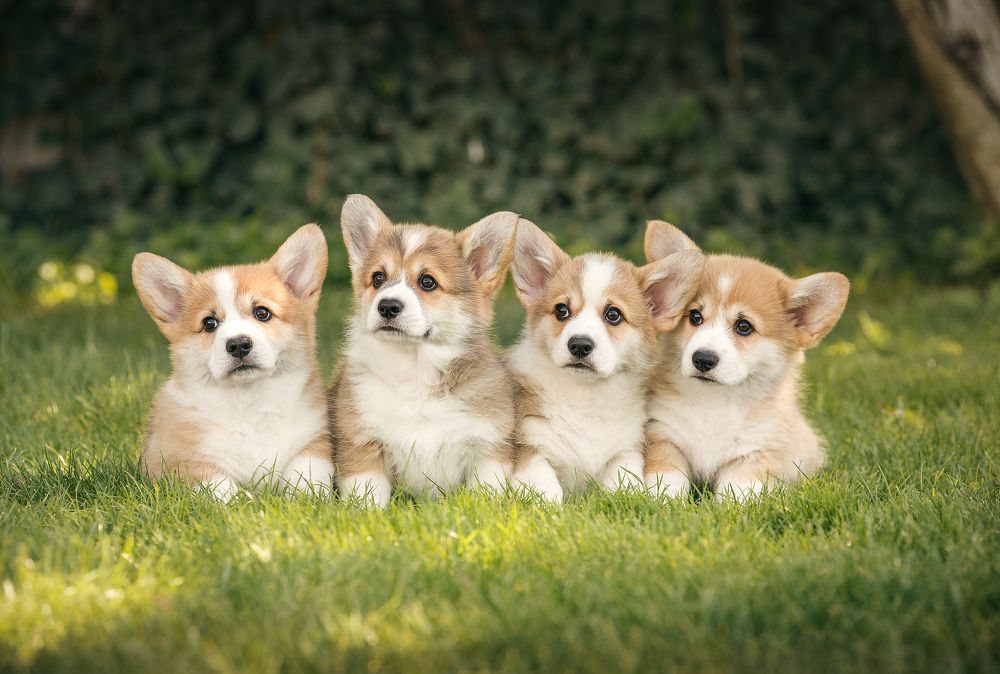 Photograph by Григорьева Юлия