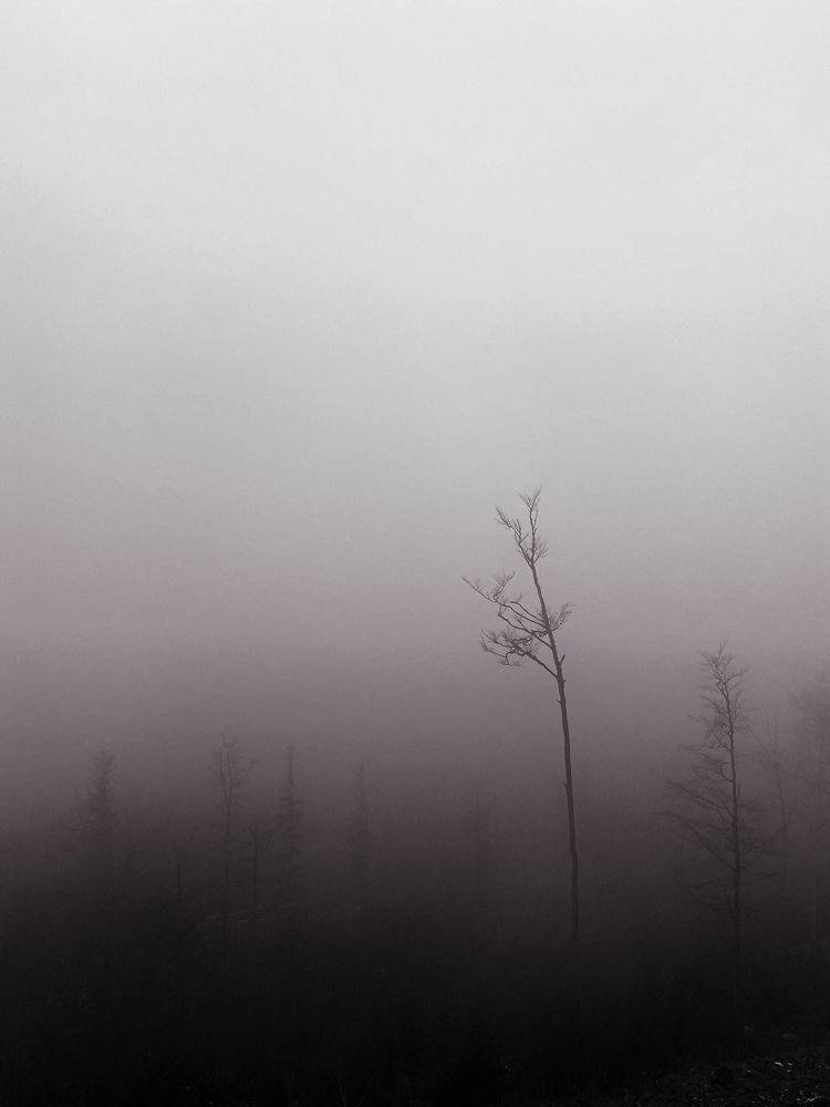 Photograph by Alena Vaganova