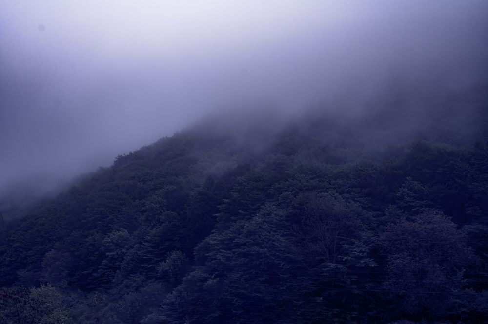 Photograph by 