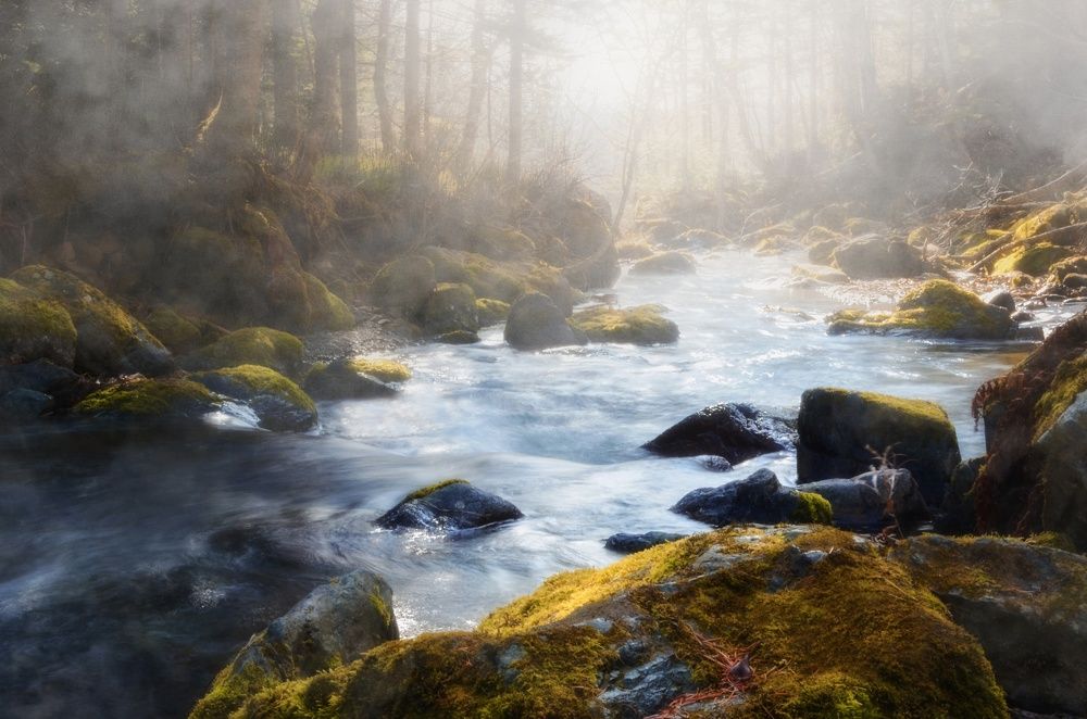 Photograph by Вероника Романенко