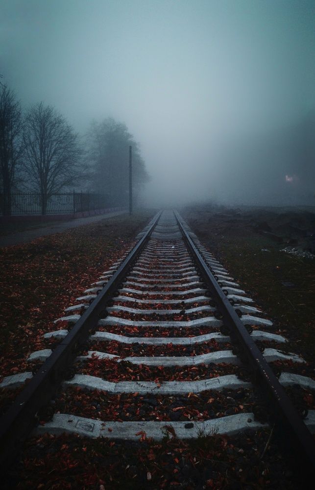 Фотография автора Геннадий Ломеко