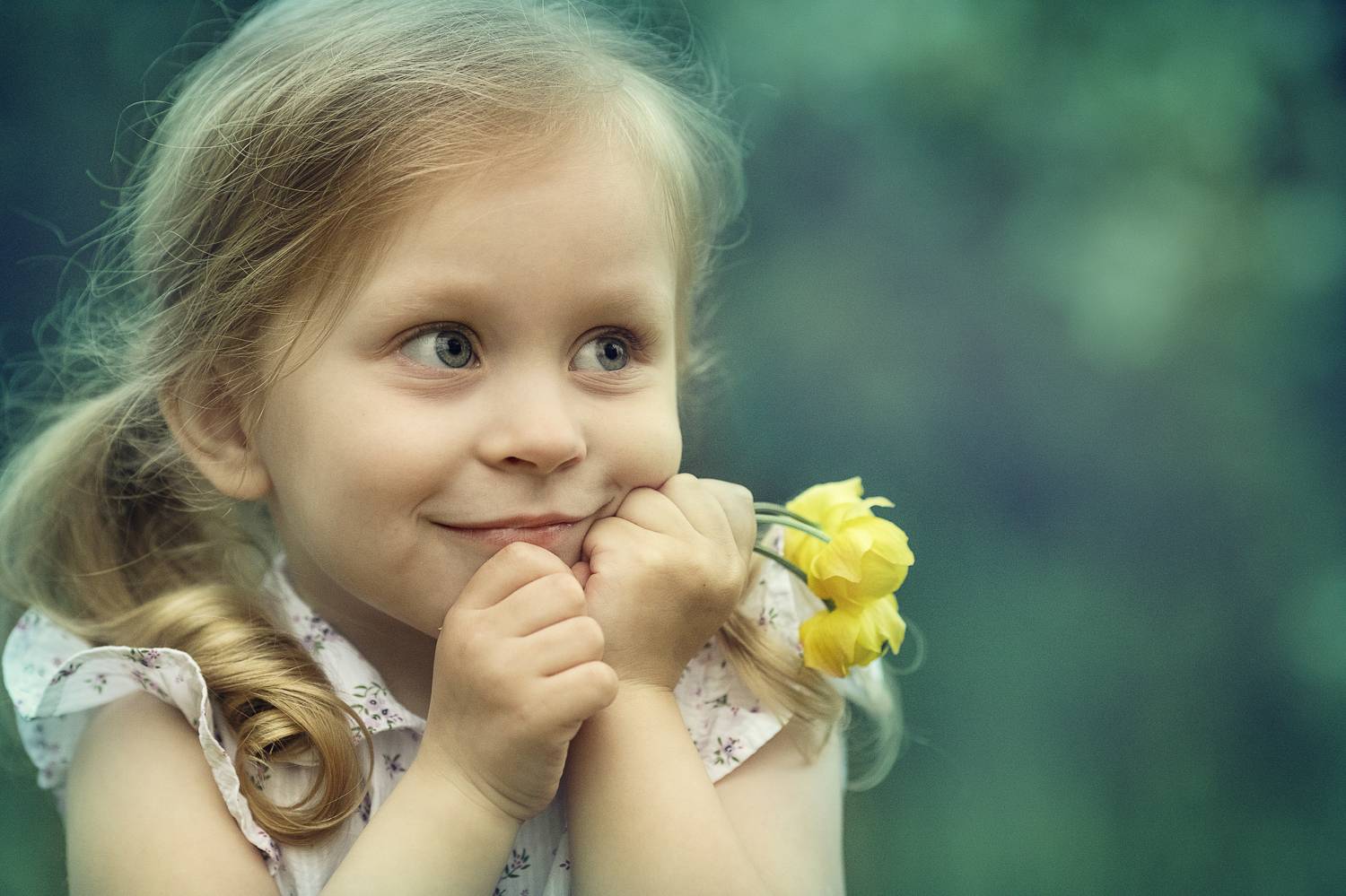 Photo #9149486