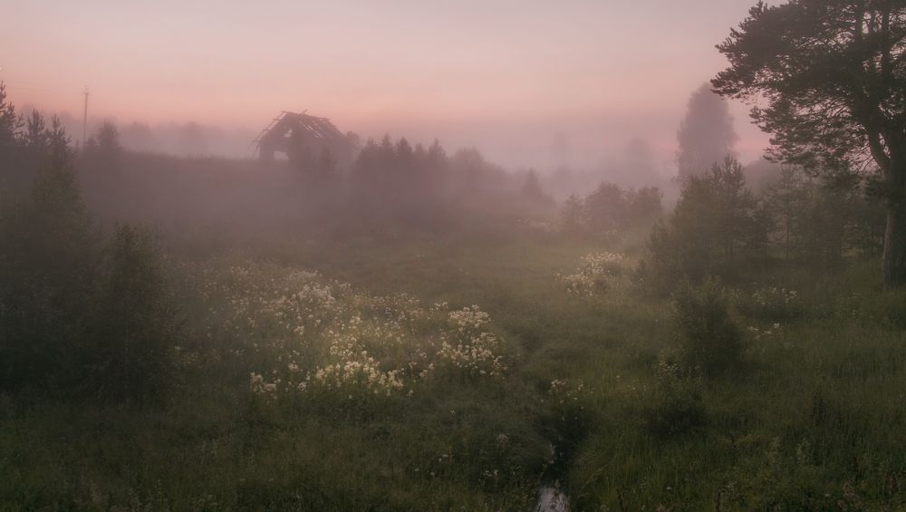 Photograph by Наталия Колтакова