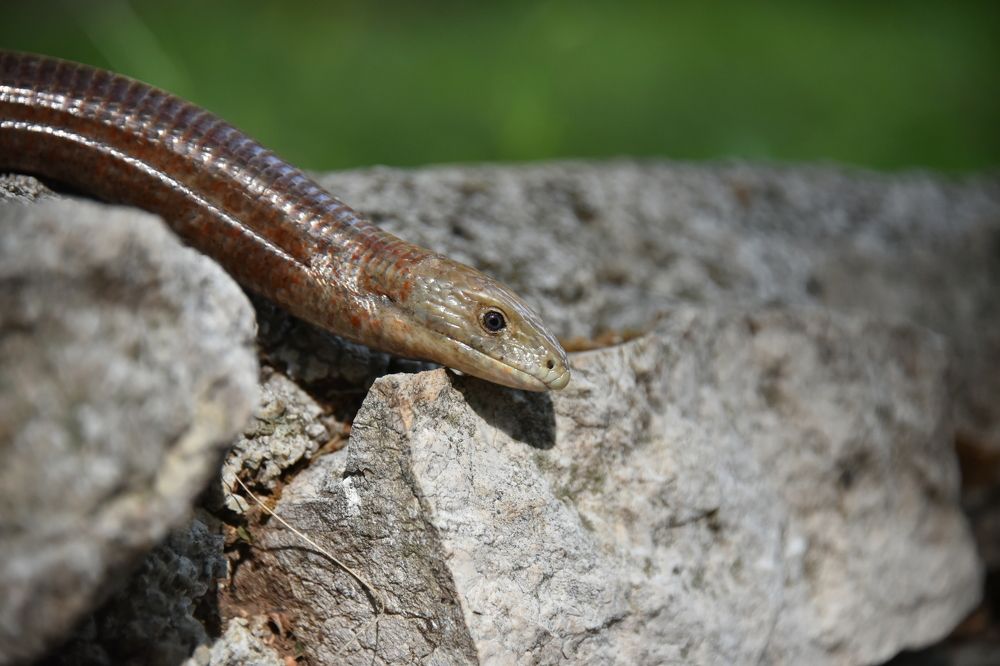 Photograph by Anna Zelinskaya