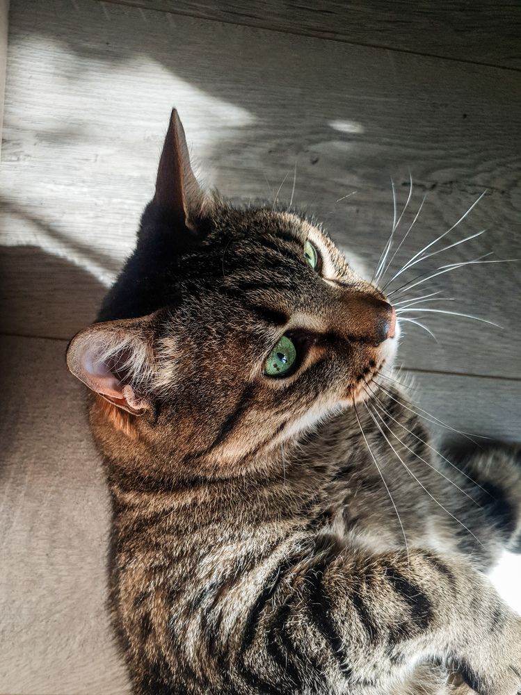 Photograph by Скоблина Юлия