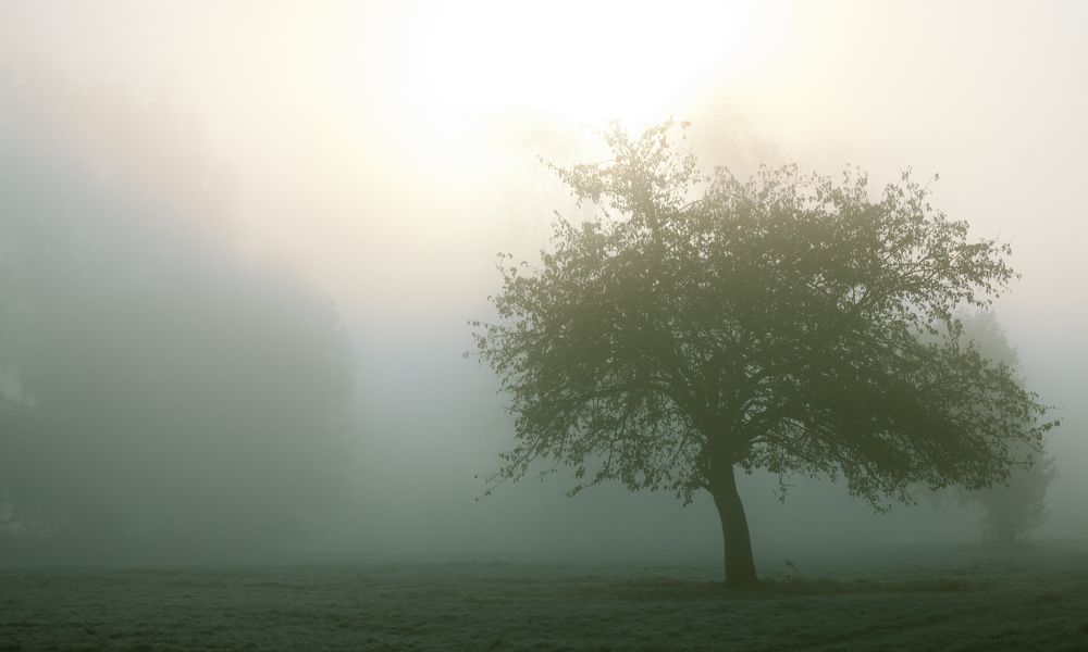 Фотография автора Игорь Куксинский