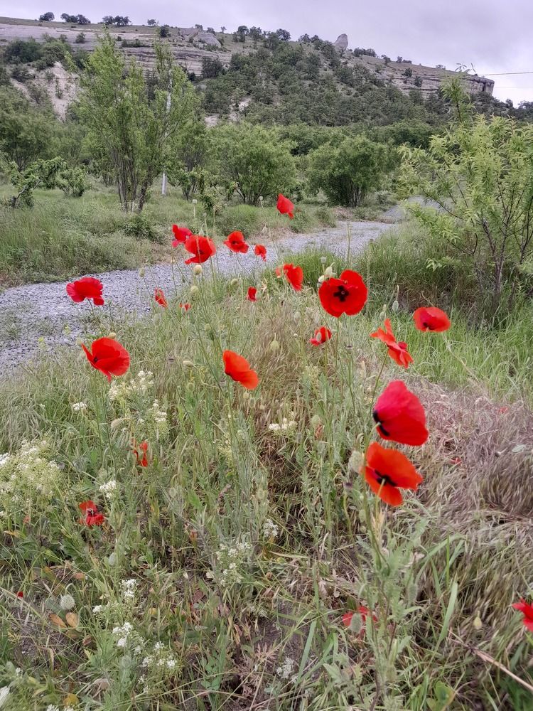 Photograph by Татьяна Ситникова