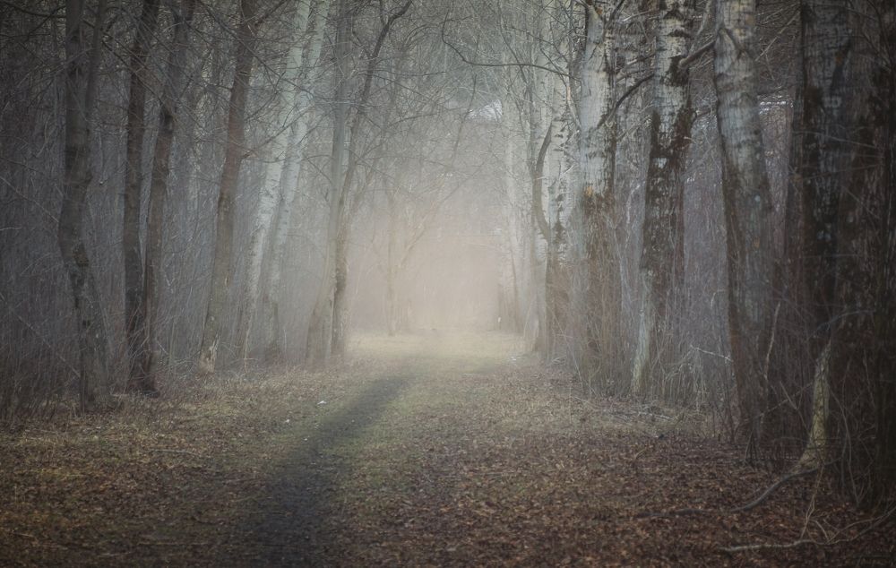 Фотография автора Котов Андрей