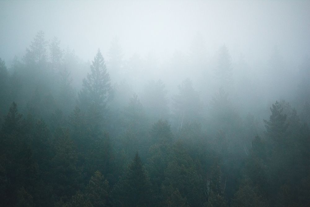 Фотография автора Котов Андрей