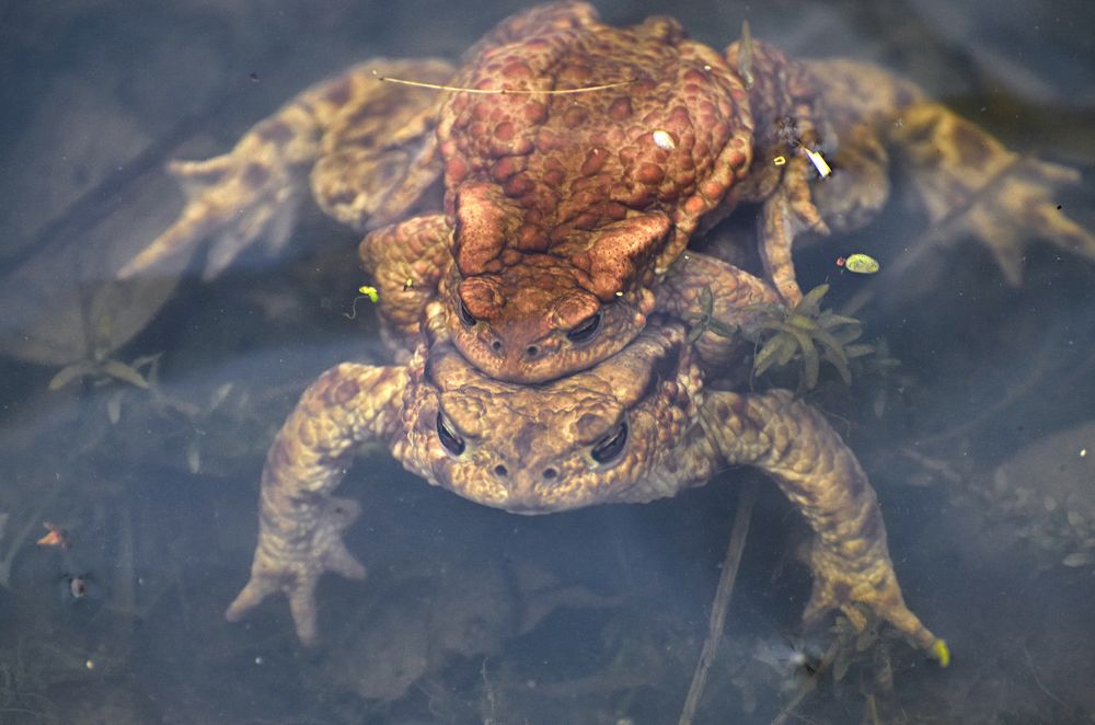 Photograph by Валерий