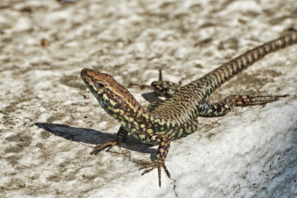 Photograph by Валерий