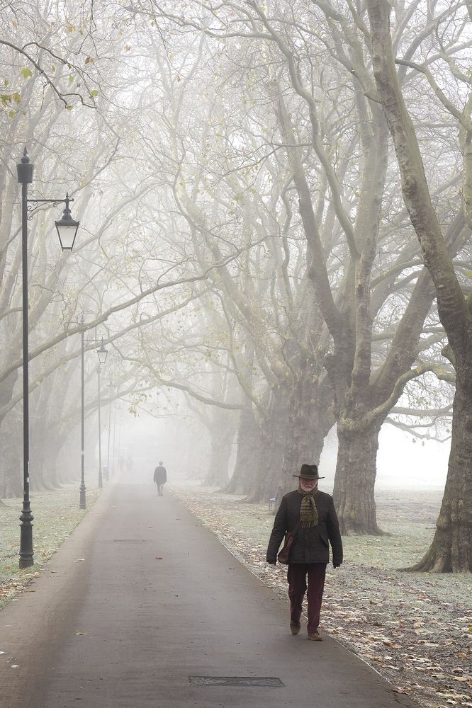 Photograph by Olga Shirokova