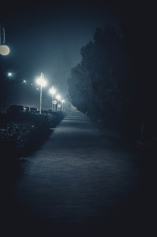 Photograph by Дмитрий Педченко