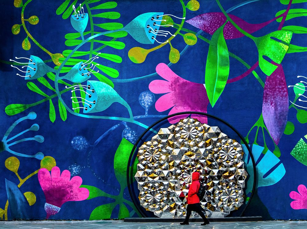 Фотография автора Mohammad Mohseni