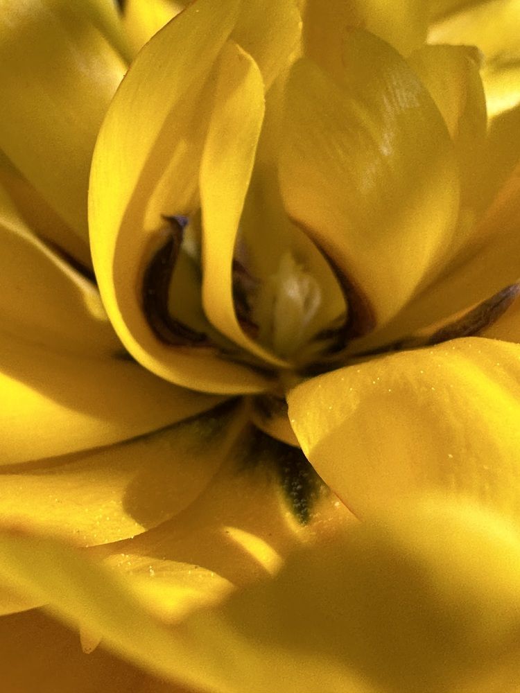 Photograph by Ольга Галкина