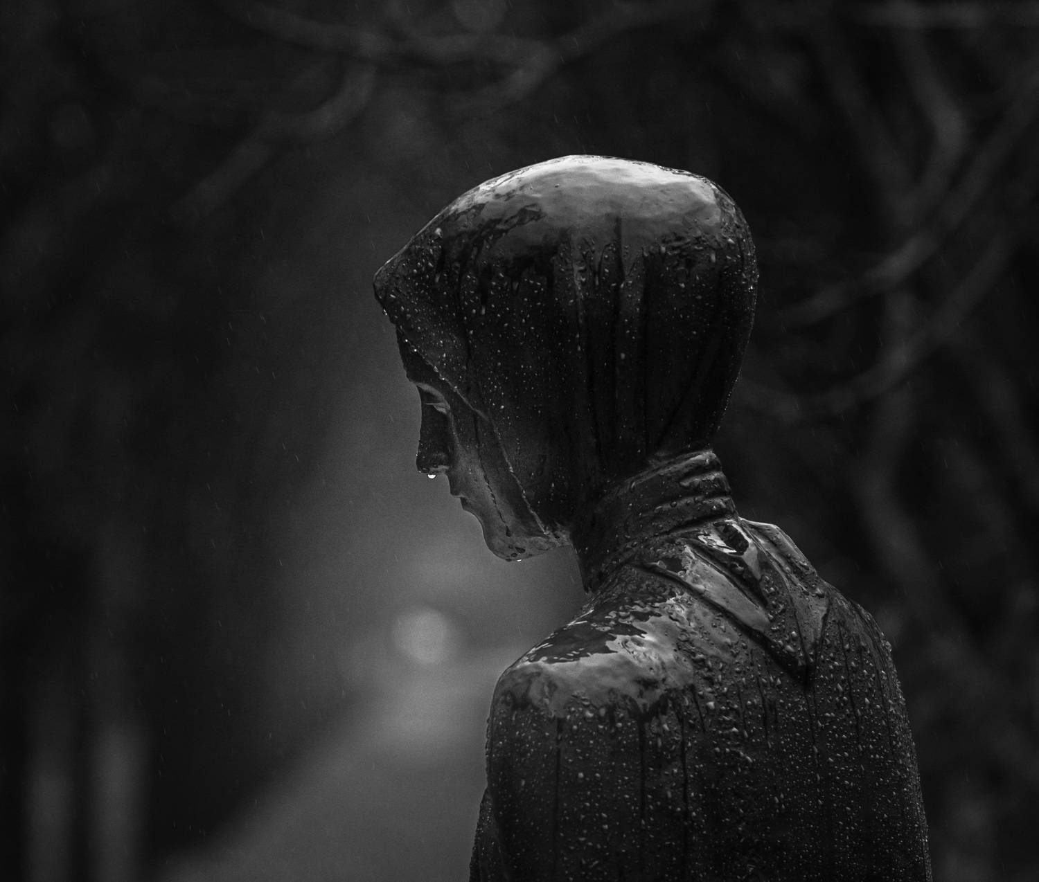 Photo #9149916