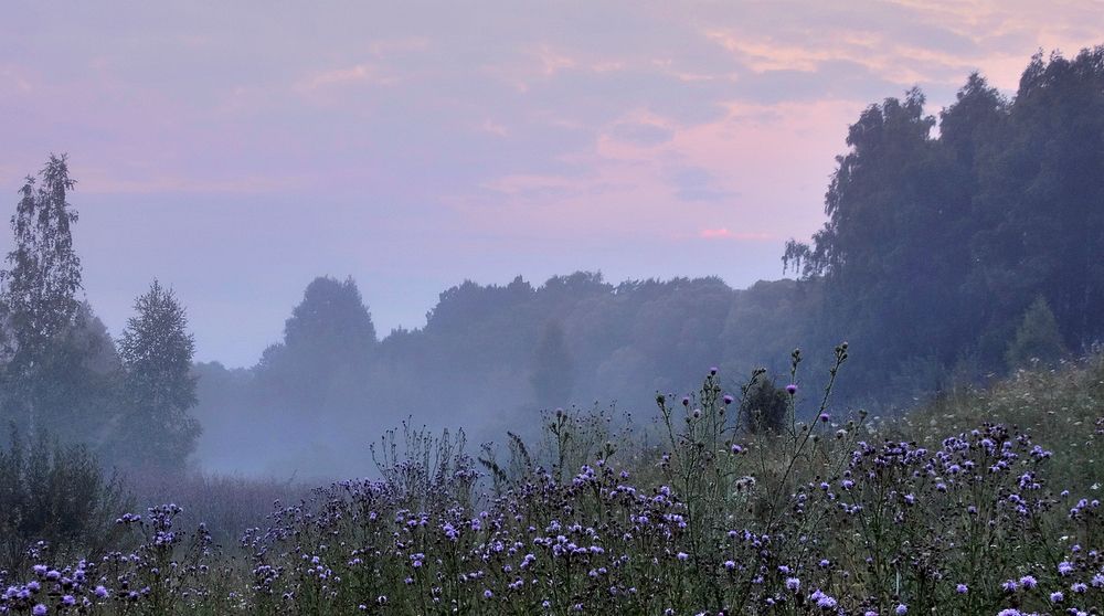 Туманный рассвет