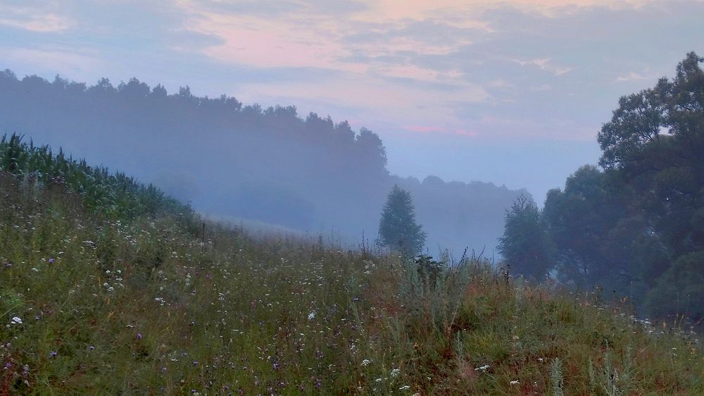 Туман сползает по склону