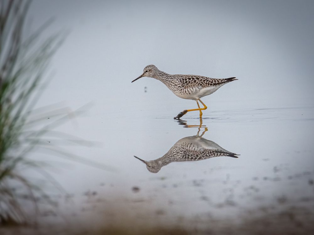 Photograph by Andrea Barlotti