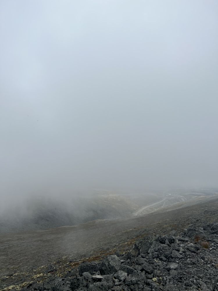 Photograph by Александра Акси