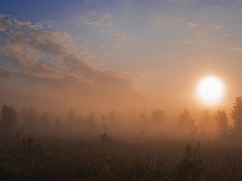 Photograph by Evgeniy Prokoptsov