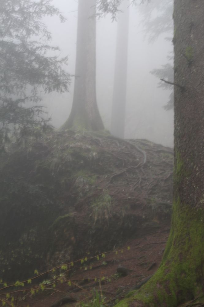 Фотография автора Natalia Khodina