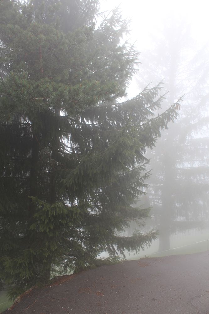 Фотография автора Natalia Khodina