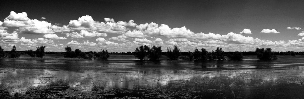 Фотография автора Dubravko Maricic