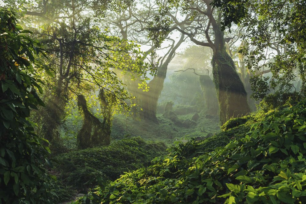 Photograph by Abel Cancino Gutierrez