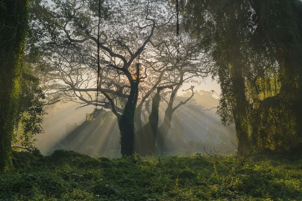 Photograph by Abel Cancino Gutierrez