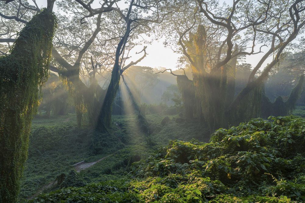 Photograph by Abel Cancino Gutierrez