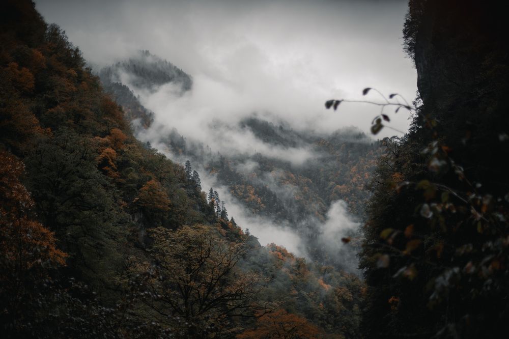 Фотография автора Fallen Angel