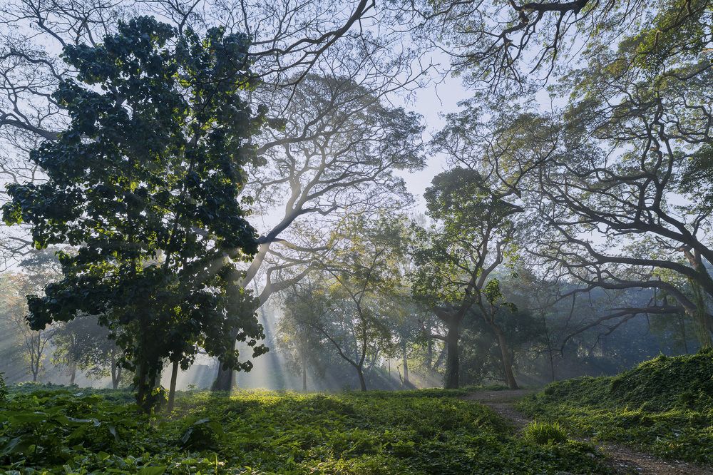 Photograph by Abel Cancino Gutierrez