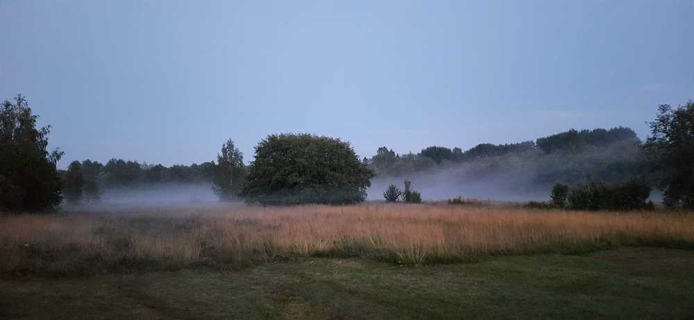 Photograph by Светлана Цапина