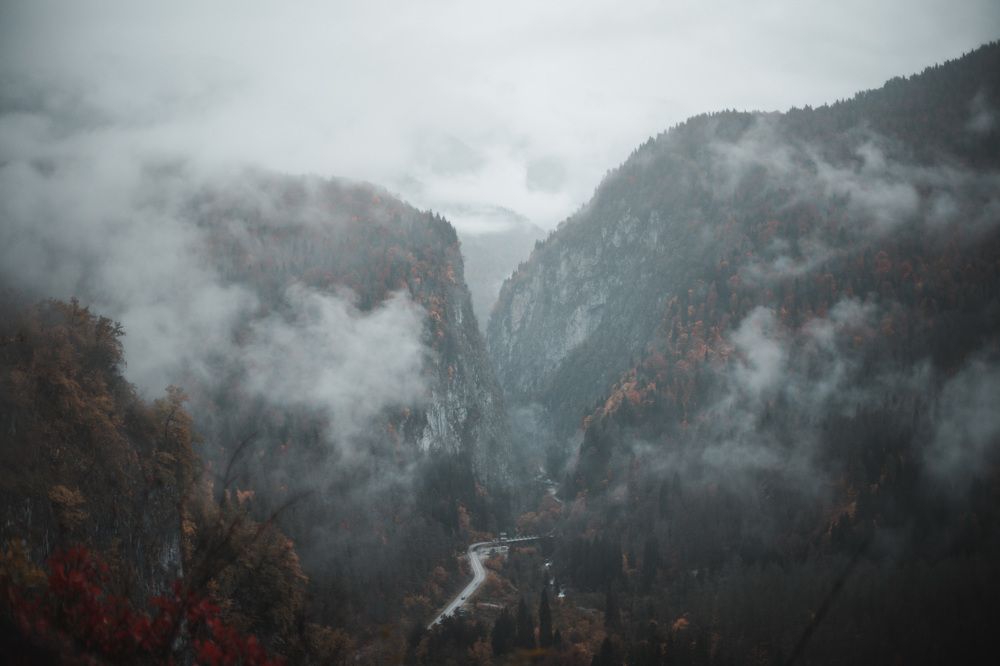 Фотография автора Fallen Angel