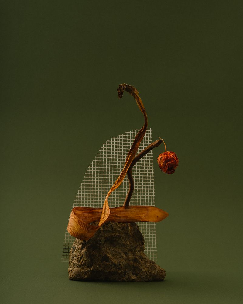 Photograph by Асель Рембекова